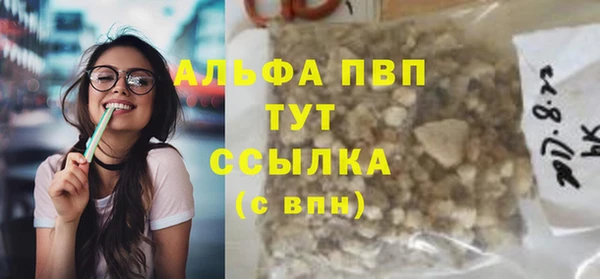 гидра Белокуриха