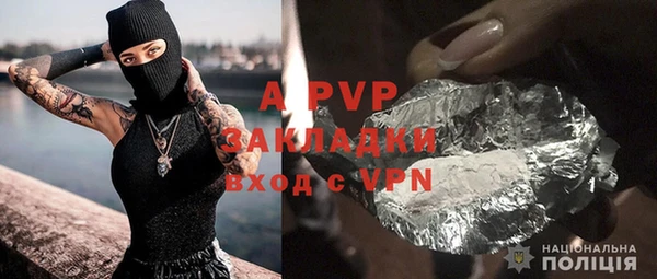 гидра Белокуриха