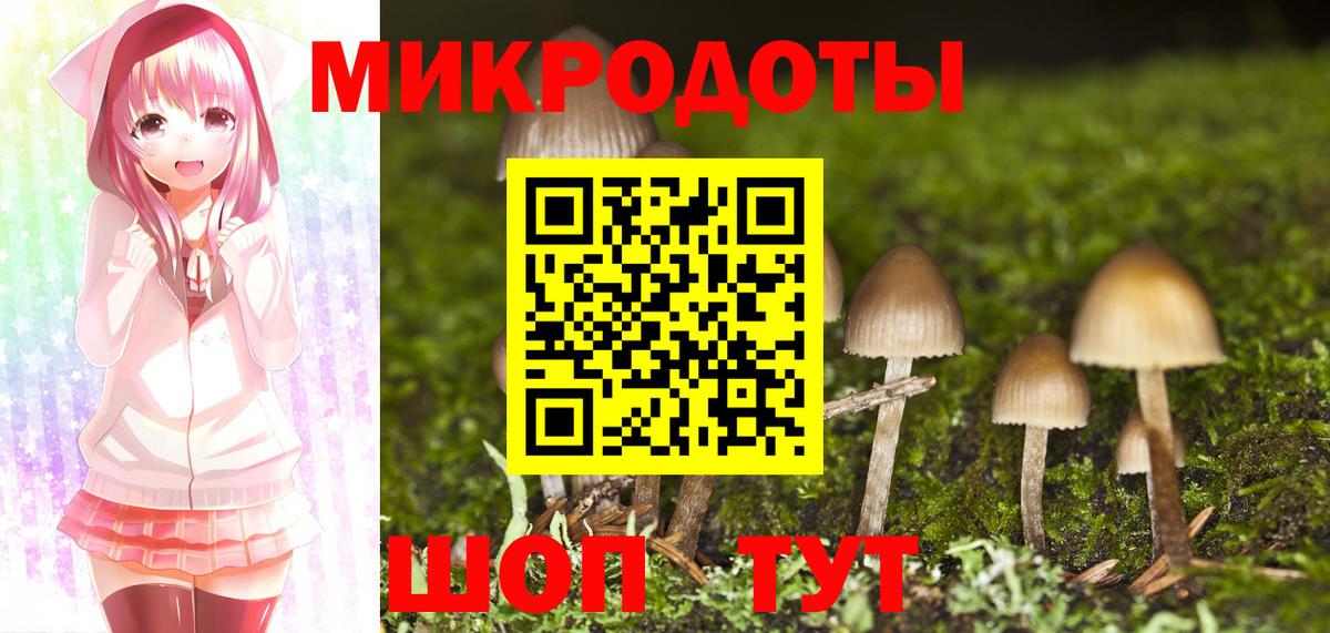 Буйнакск  Псилоцибиновые грибы Magic Shrooms  Вход с VPN 