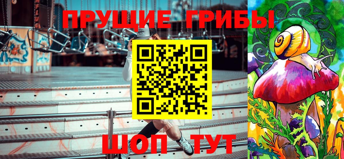Псилоцибиновые грибы прущие грибы Буйнакск
